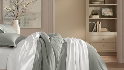 Comforter buying rules – 5 things you need to know before you buy on Presidents' Day