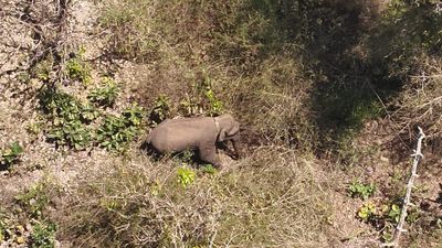 Top Kerala news Developments today