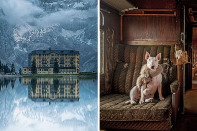 50 Aesthetically Pleasing “Accidental Wes Anderson” Moments People Have Captured In Real Life (New Pics)