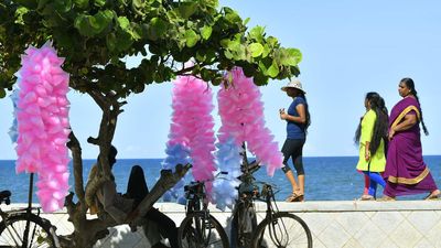 Sale of cotton candy banned in T.N. after samples reveal use of toxic industrial dye as colouring agent