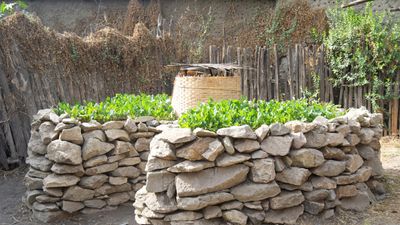 What is keyhole gardening? And how to add this sustainable growing system to your backyard