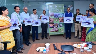 World Pangolin Day: forest department releases poster on Indian Pangolin