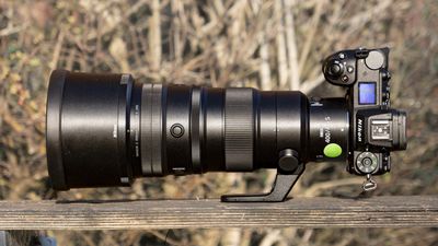 I took this Nikon super-telephoto lens on a dream safari trip – and learned a big lesson about pro primes