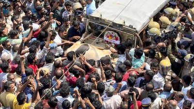Violent protests rock Pulpally in Kerala’s Wayanad after third elephant attack death in a month