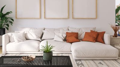 How to wash couch cushion covers