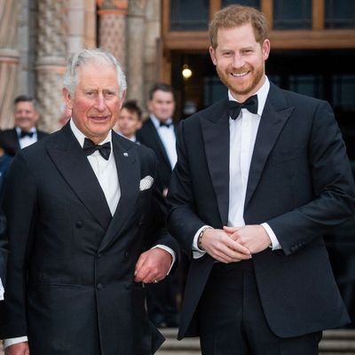 Prince Harry has opened up about reuniting with King Charles amid his diagnosis
