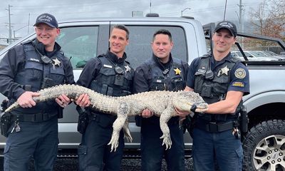 Oregon police confiscate family’s toothy ‘pet’ of 13 years