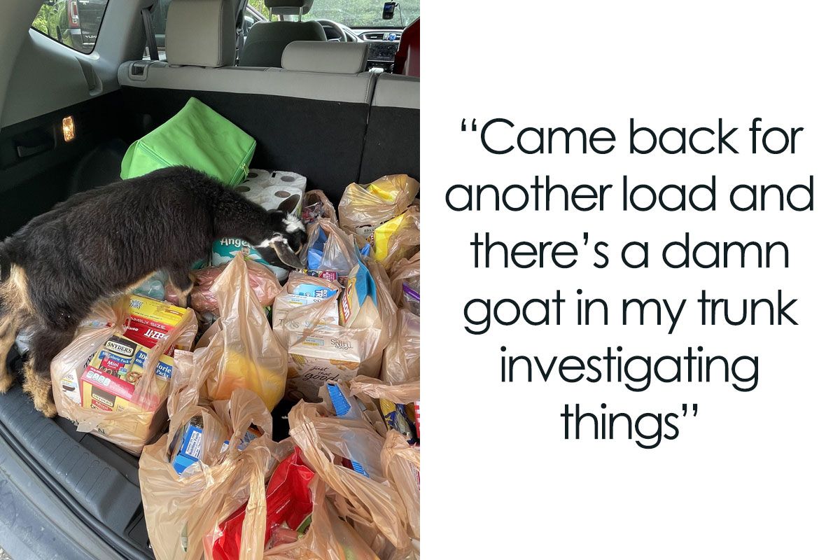 50 Hilarious Pics From ‘Instacart’ Shoppers And Their…