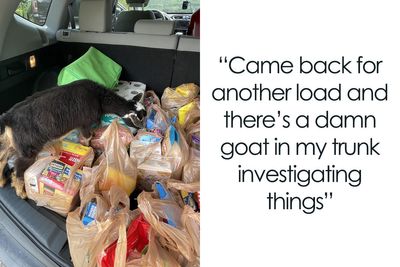 50 Hilarious Pics From ‘Instacart’ Shoppers And Their Customers To Bring A Chuckle To Your Day