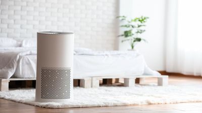 How to clean an air purifier in 6 simple steps