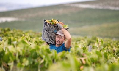 Spanish grape varieties playing away from home