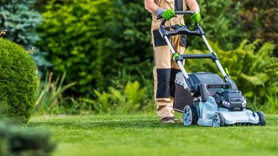 When is the right time for the first grass cut of the year? We ask an expert