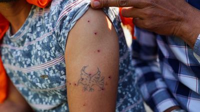 Haryana DGP denies using pellet guns against protesting farmers