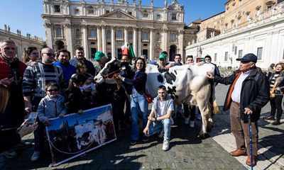 Holy cow! Protesting Italian farmers bring bovine to mass with the pope