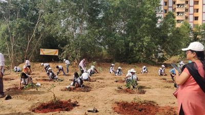 Indira Gandhi Centre for Atomic Research hold tree plantation drive as part of Swachhata Pakhwada
