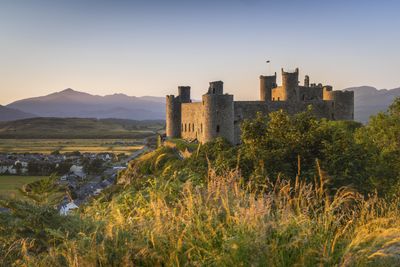 Landscape pro photographer Drew Buckley shares the best times of day to shoot landscapes