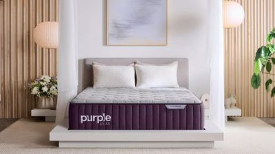 Purple Rejuvenate mattress review 2024