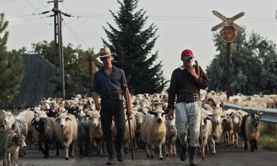 Dor (Longing) review – Romanian sheep-herders discuss the meaning of life