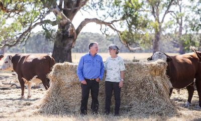 Saturation point: Australia’s best known carbon-neutral farm can no longer offset its emissions
