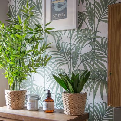 How to repot houseplants – from what size pot to choose to whether you should remove all the old soil