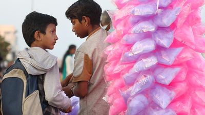 After Tamil Nadu bans sale of cotton candy, A.P. government directs officials to send samples for testing