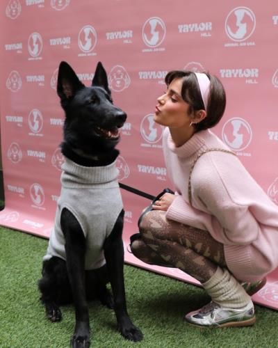 Taylor Hill's Joyful Moment With Furry Friends
