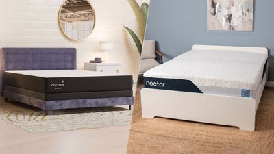 Cocoon by Sealy Chill vs Nectar Mattress: which affordable memory foam mattress should you buy?