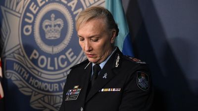 Qld top cop to stand down, says not a scapegoat