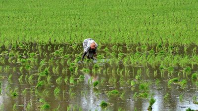 T.N. Agriculture Budget 2024 unveils scheme for chemical-free practices to improve soil quality