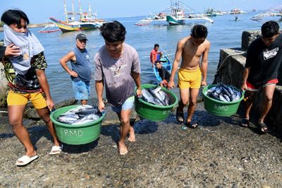 Chinese Fishermen Accused of Poisoning Waters, Coral Reefs With Cyanide