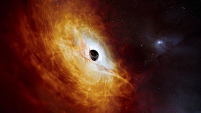 The brightest object in the universe is a black hole that eats a star a day