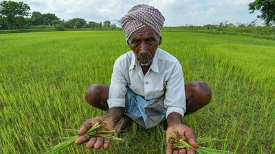 T.N. Agriculture Budget | ‘One Village One Crop’ scheme to be introduced in 15,280 revenue villages