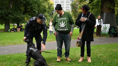 Greener grass if weed is legal but doctors more blunt