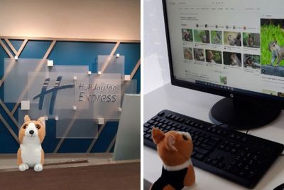 Family Was Distressed After Son’s Toy Was Left Behind Until Hotel Staff Saved The Day