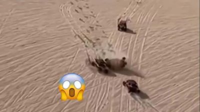 Watch A UTV Rescue Another UTV From A Scary Rollover In The Dunes