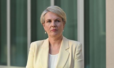 Senator would subject herself to random breath testing in parliament – as it happened