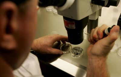 Critics Slam Alabama Court Ruling That Frozen Embryos Are 'Children'