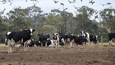 Farmers urge Labor leaders to fight carbon capture plan