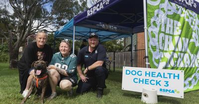 Free care for vulnerable pet-owners in Hamilton South