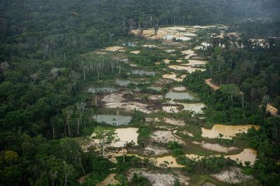 ‘Dirty political games’: Suriname is selling its gold and timber – at the cost of tribal land rights