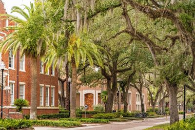 University of Florida student senate passes ‘green new deal’