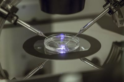 How Alabama's ruling that frozen embryos are 'children' could impact IVF