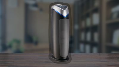 This highly rated air purifier that 'makes a huge difference' for people with allergies is finally on sale for under $100