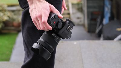 Panasonic Lumix S 28-200mm f/4-7.1 Macro O.I.S. review: the travel photographer's new best friend