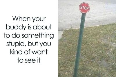 This Page Is Dedicated To Hilarious And Random Memes, Here Are The 50 Best Ones