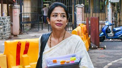 Netflix tells HC docu-series on Indrani won’t be released till February 29; court orders special screening for CBI