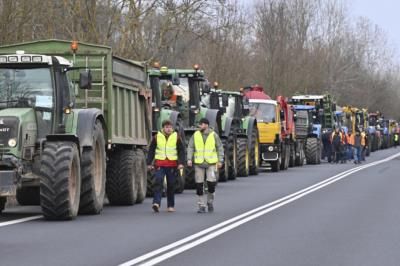 Czech Farmers Unite Against EU Agriculture Policies