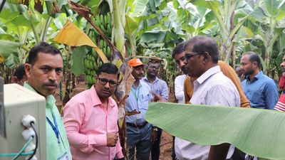 Farmers, officials from U.P. undergo training at NRCB