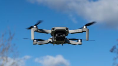 DJI Mini 2 SE review: It's affordable, but does it do what you need? Quite possibly