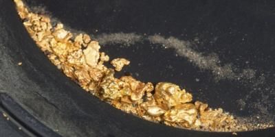 World's Largest Gold Nugget Found During Australian Gold Rush